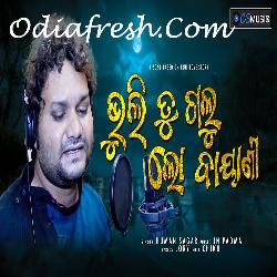 Bhuli Tu Galu Lo Bayani